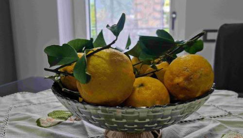 CASA VACANZE - Anna Holiday Home - Foto 2