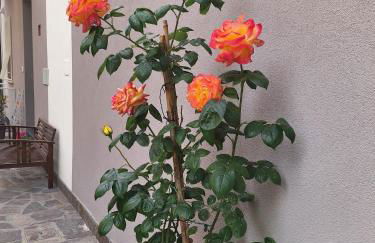 Bilocale moderno Sabbia e Cielo - 5min dal mare - Foto 2