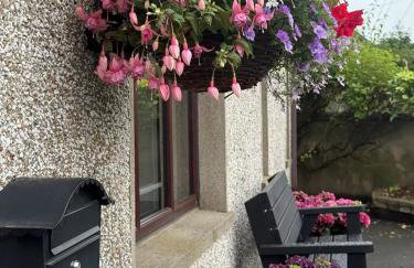 Spelga View - Foto 21