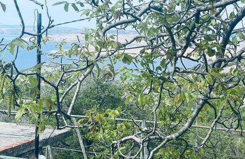 Kuća za odmor “Dida” - Photo 20