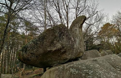 Le Gîte de L'Adrech - Foto 20