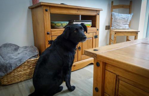 Sennen Cove Retreat - Photo 4