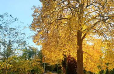 LE SCHMOUTZ: Charmant duplex entre Colmar et Mulhouse (1-4 pers) - Foto 7