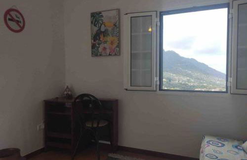 Terra Batista house - Photo 30