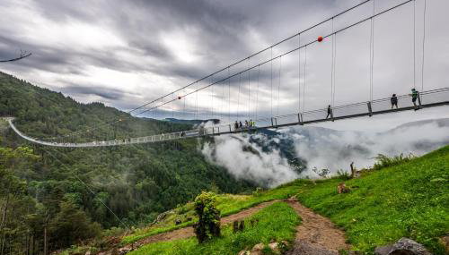 Berghof Almzeit - Fewo "Hüsli", Sauna, Todtnauberg, Feldberg - Foto 2