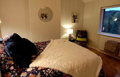 The Pilgrims - Foto 12