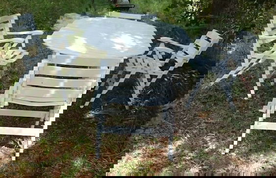 Sea Levanto and Cinque Terre Calm, Cool, Freedom,for Children and pet Parking - Foto 17