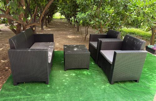 Viola Metković - Foto 18