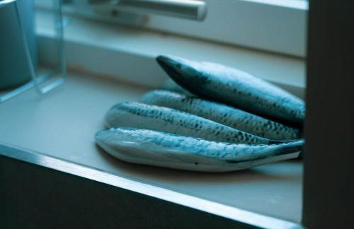 The Snook-Free Parking-Near Pentland Hills - Foto 8