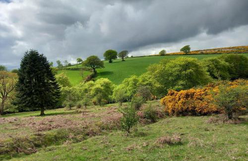 Sheepfold Cottage Dulverton - Foto 28