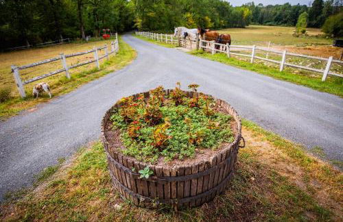 La Sellerie - Foto 14