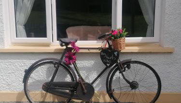 Ferns Holiday Let - Photo 4