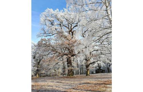 Holiday apartment with 2 bedrooms - Foto 22