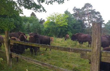 Highland Accommodation Bavaria - Foto 13