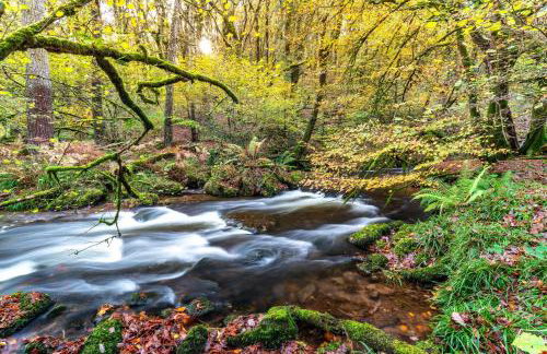 West Hollowcombe Farm - Foto 32