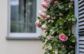 Maji Como Lake - Lake Como Historic Villa Apartments with Pool & Parking, 100m from Ferry & train - Foto 63