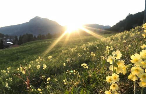 Gästehaus Dauser - Photo 46