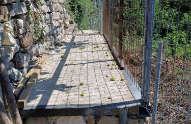 Kostaki's Stonehouse 2 - Foto 27