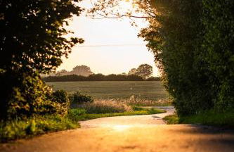 Ferienhaus ReetCottage 24 Dörphof - Foto 38