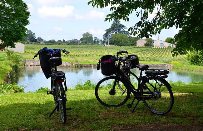 "Explora Saint-Émilion en bicicletas eléctricas: Grupo pequeño, excursión de medio día" - Foto 6