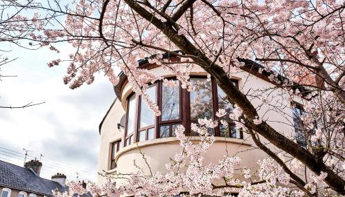 Exclusive Offers l Last-Minute Stay l Sleeps Up to 6 l Conveniently located near town Centre l restaurants l and local attractions l It offers easy access to the stunning Causeway Coast l Coleraine Hideout l WeStayBelfast - Foto 2