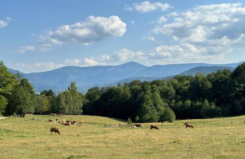 Czerwony Dworek 8 - Agroturystyka Karkonosze - Foto 33