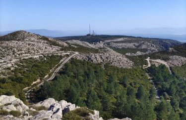 Ale house experience - Foto 60