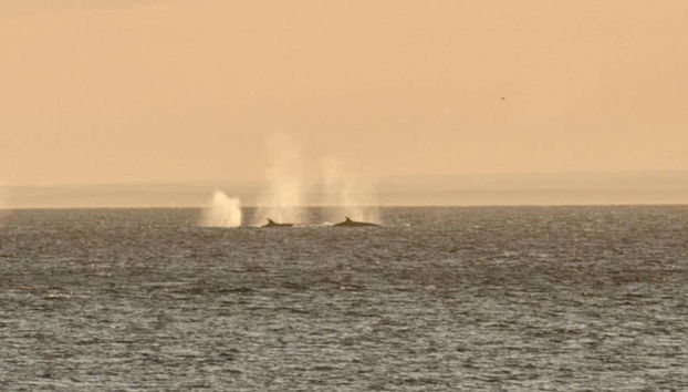 Disfrutando del paseo en barco