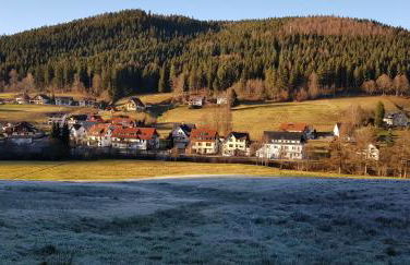 Ferienwohnung "Hirschlein" im Schwarzwald - Foto 42