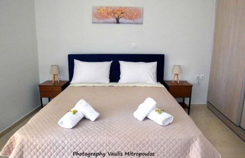 Comfort Holidays - Foto 12