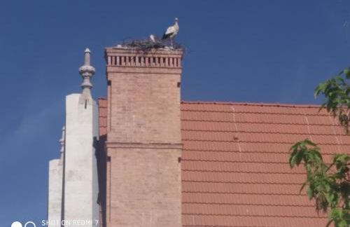 Apartamento Do Silva - Foto 41