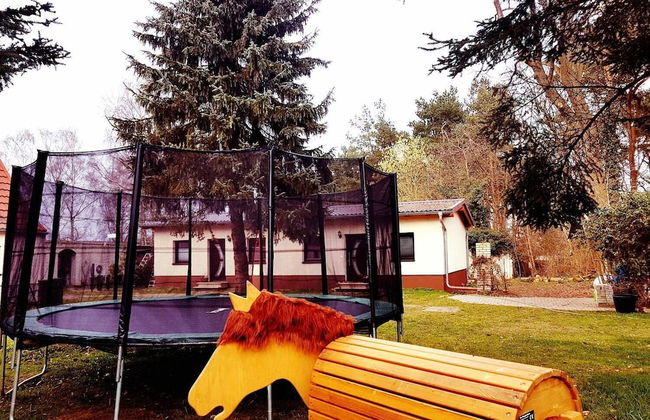 Naturhof Usedom - Photo 43