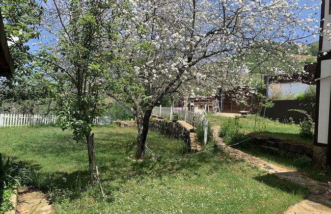 Şamlıoğlu Historical Mansion - Photo 14