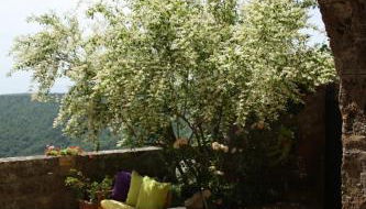 L'Incanto di Civita - Foto 2