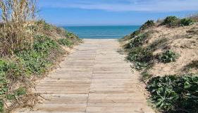 Oliva Moon - Photo 2