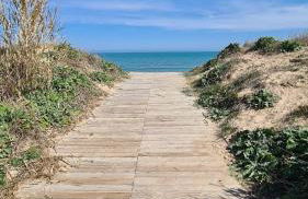 Oliva Moon - Photo 2