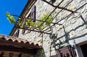 Peaceful Villa Ida&Mirko in nature with private pool - Foto 13