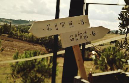 Domaine de Massoulac - Foto 14