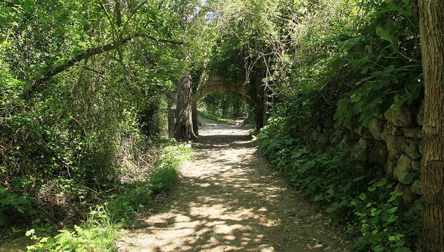 Tour panoramico di Malta - Foto 4