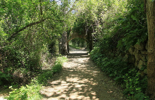 Tour panoramico di Malta - Foto 4