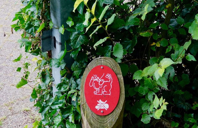 Family Escape Near Keukenhof - Photo 23