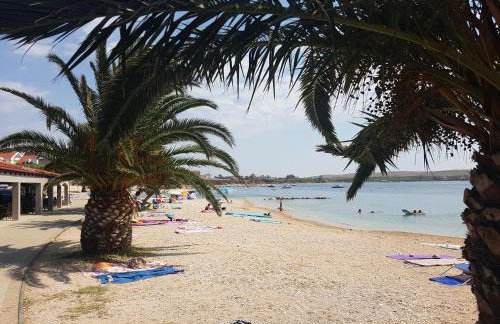 Apartman Branka - Foto 31