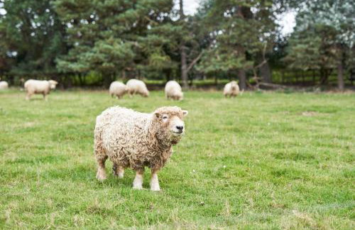 Farm stay close to Shakespeare's Stratford-upon-Avon - Photo 16