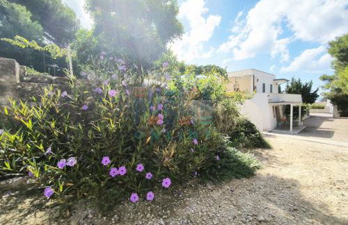Casa Vacanza Lu Mare Puglia On line - Foto 33