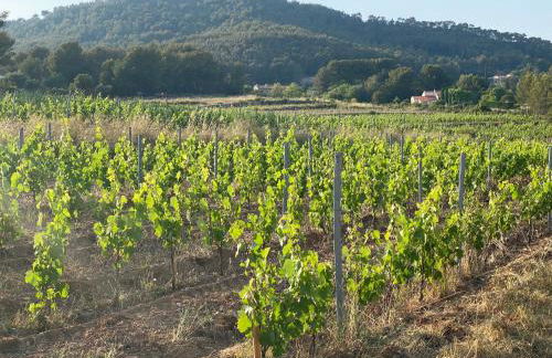 Rez-de-villa proche de la mer - Villa Temana - Foto 14