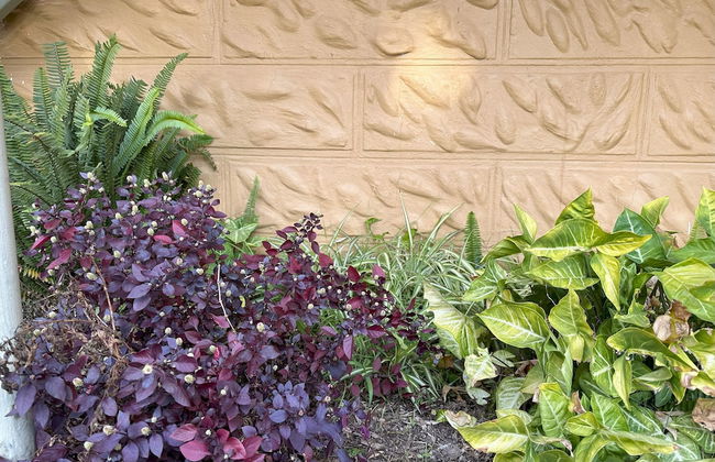 Breimba Street Apartments - Photo 23