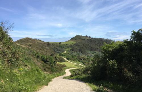 El Pinar de Mogro - Foto 46