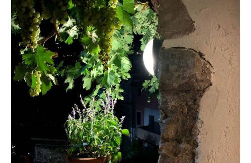 La dolce vite - Foto 25