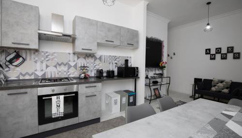 AMORES ROMA APARTMENT Family & Friends, 4min da Metro A & 15min per Centro - Foto 3, stove