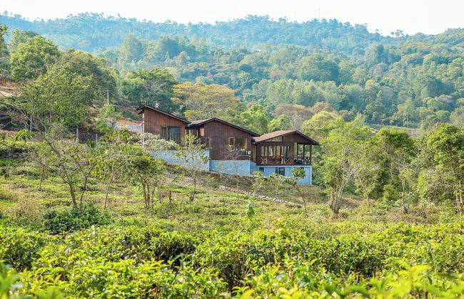 Triptych by Xplore Indo - Foto 23